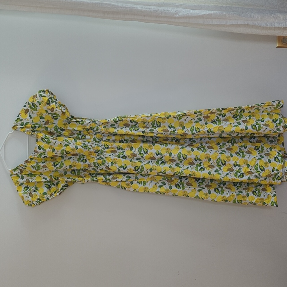2/$40 - Boden Women's Lemon and Leaf Printed Maxi Dress (US 20/22R) - Picture 2 of 6